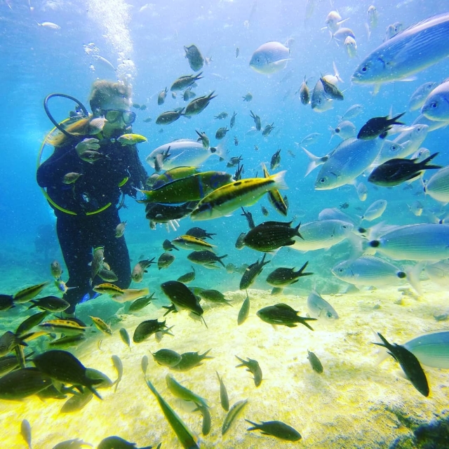  Discovering the seabed 