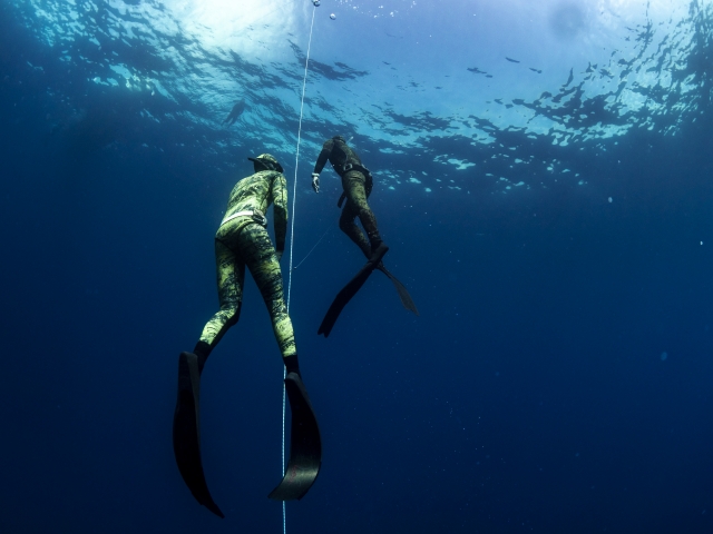  Apprenez avec les meilleurs instructeurs 