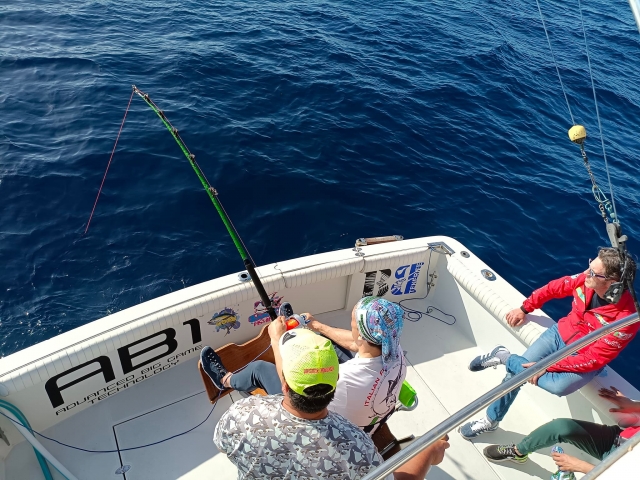 p-80220-charter-de-pesca-en-tenerife1757926365_1757926606896.jpg
