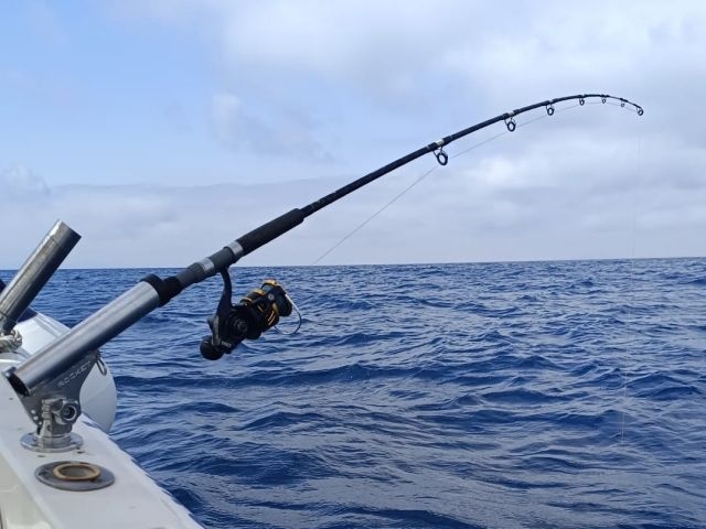 Materiales de pesca listos par ala práctica Materiales de pesca listos par ala práctica