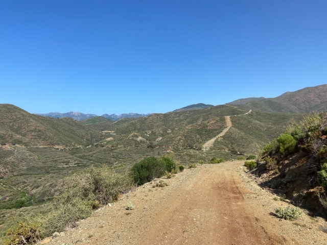 Caminos para ser explorados