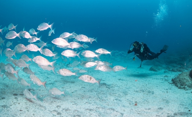 Bautismo de buceo
