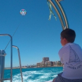 托雷维耶哈的滑翔伞飞行同伴