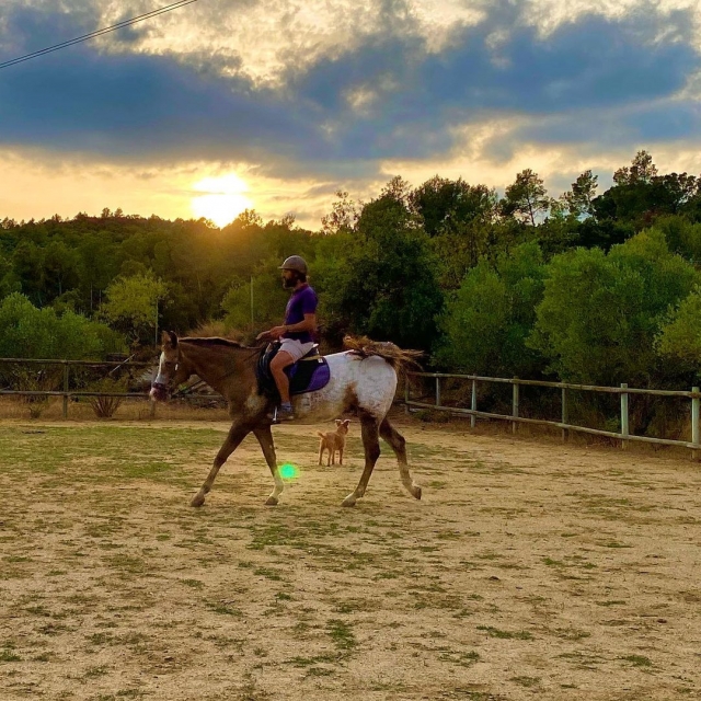 Entrenando antes del paseo