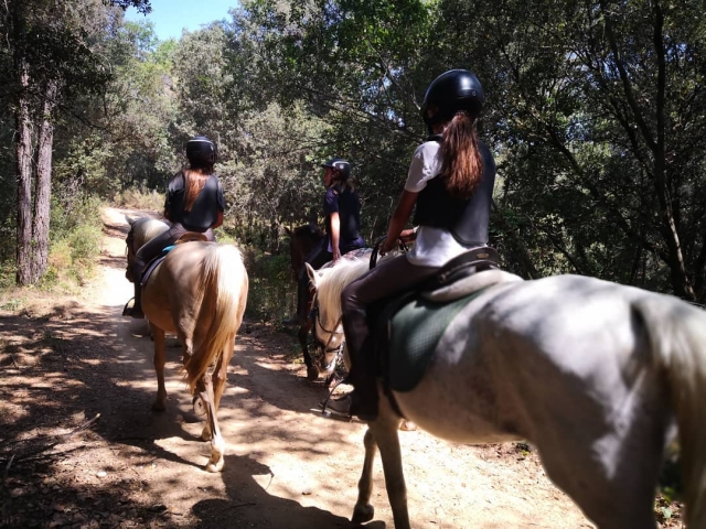 Cabalgamarra en Castellar del Vallès