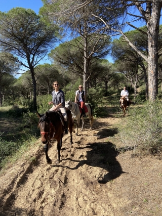 Reitroute durch den Naturpark La Breña 3 Stunden