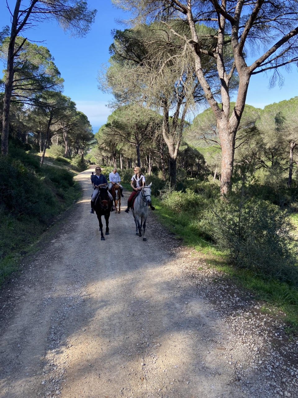  Reiten auf den Wegen 