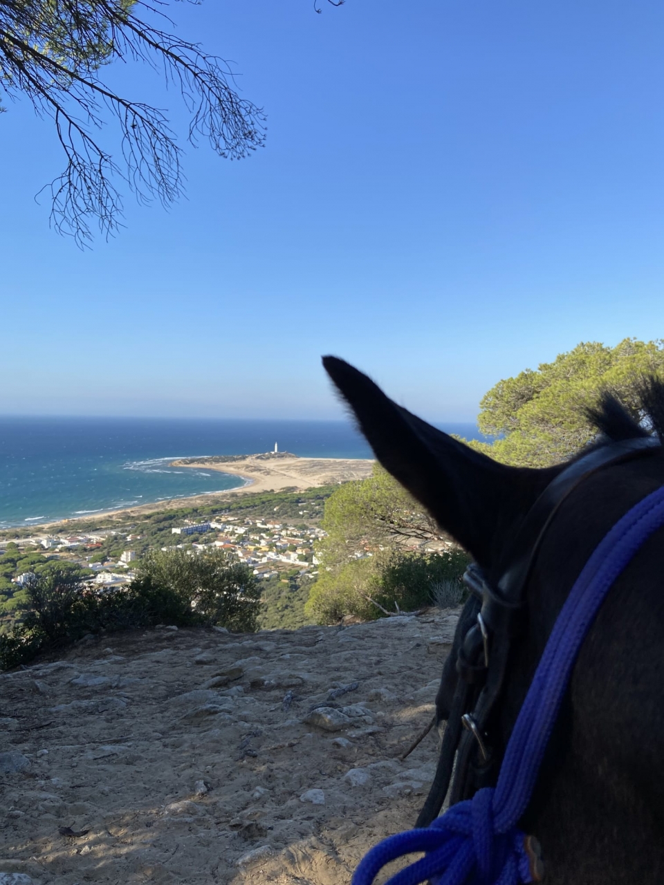  Besichtigung des Naturparks 