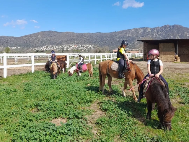  Everything ready for the pony ride 