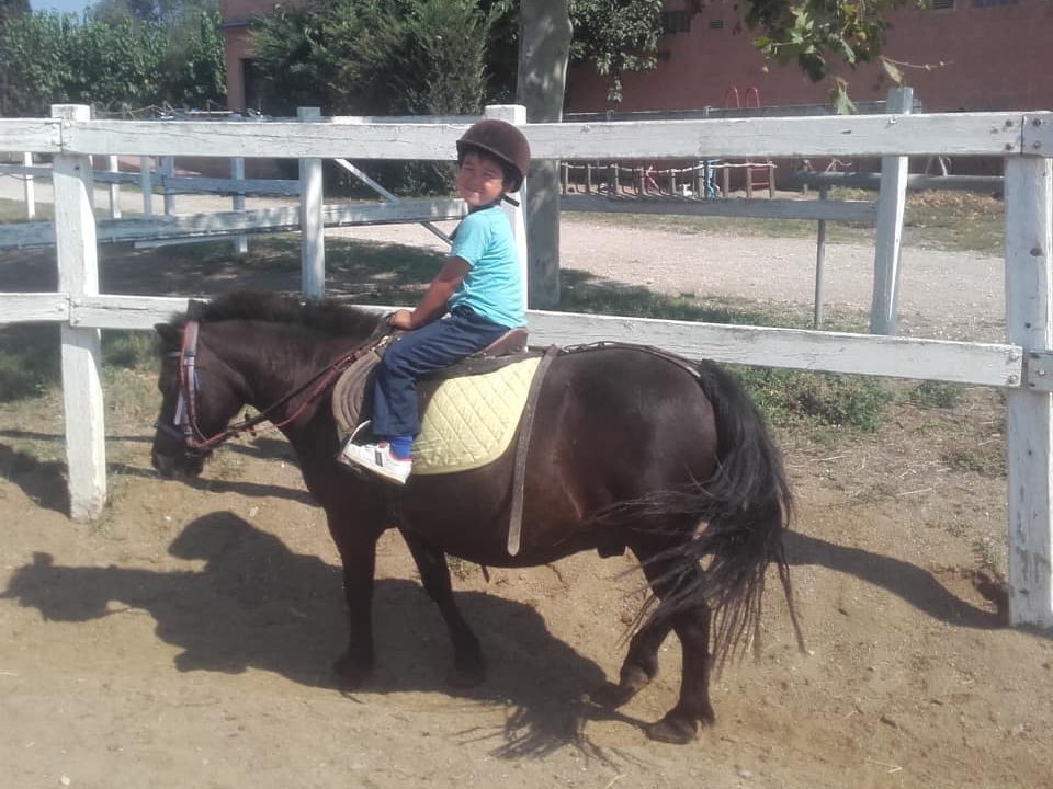  On the back of the pony