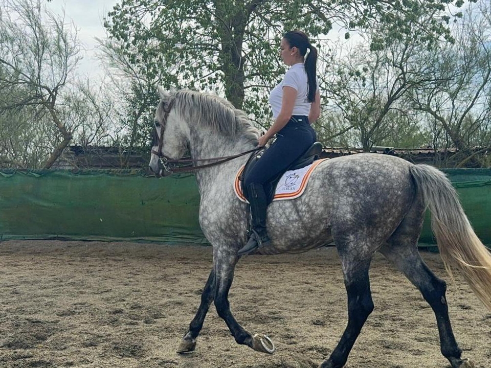 Reitkurs in Empuriabrava 