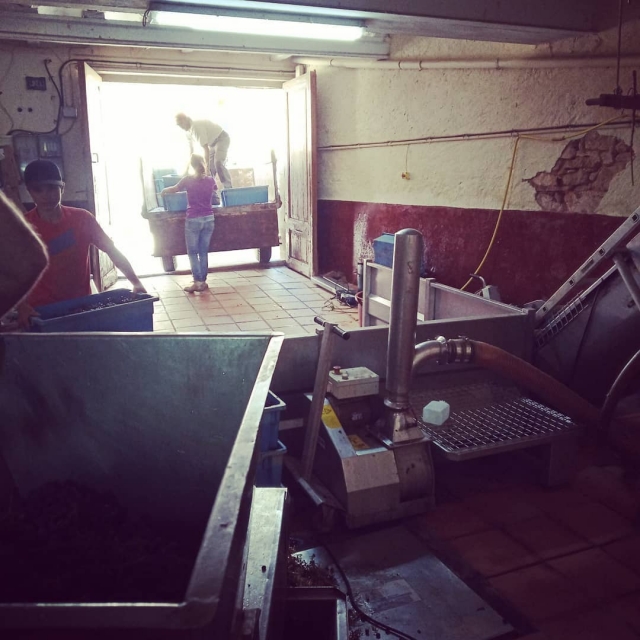 Um dos espaços onde se processa o vinho 