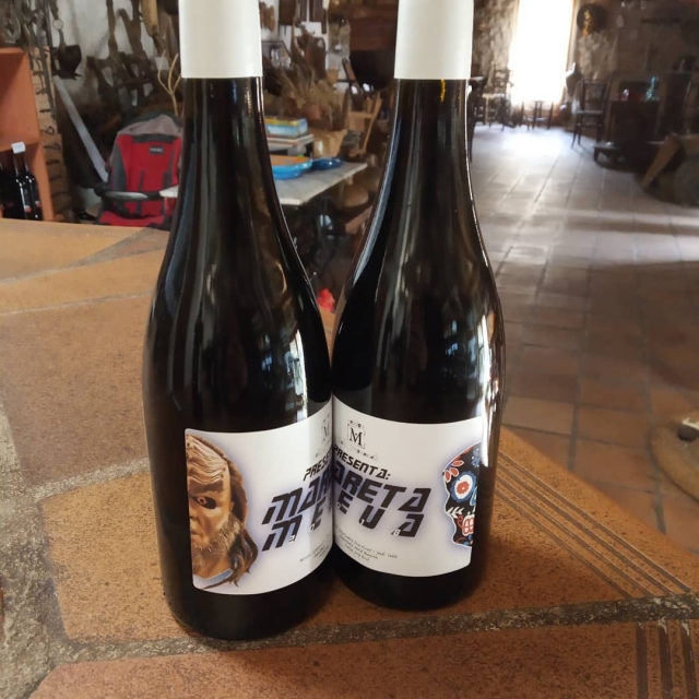 Duo aus zwei Flaschen Wein 