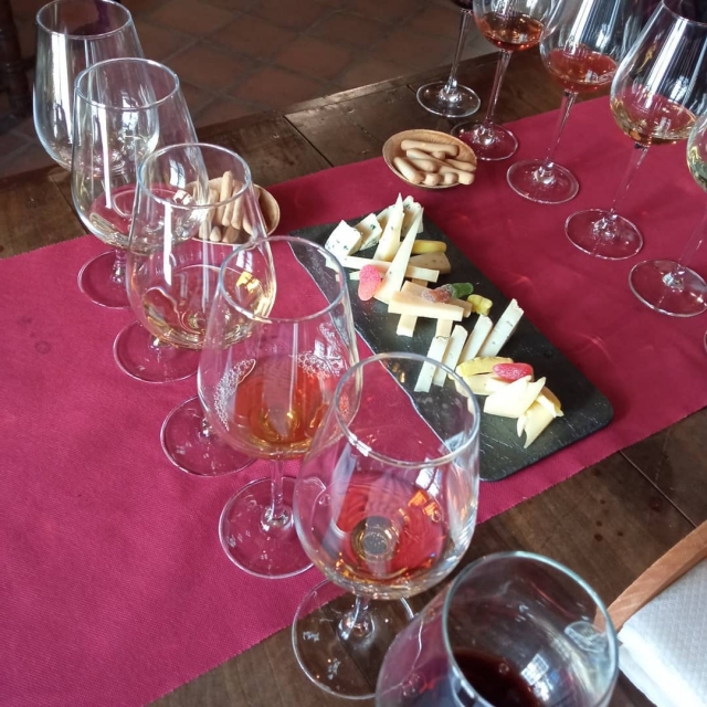  Dégustation de vins et fromages parfaitement disposés sur la table 
