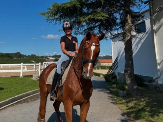 Passeios a cavalo 1 hora + aula em Medina de Pomar