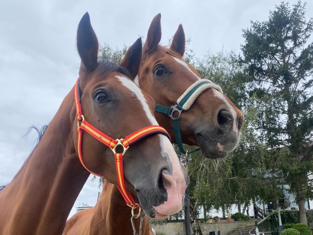  Itinerario e lezione a cavallo 