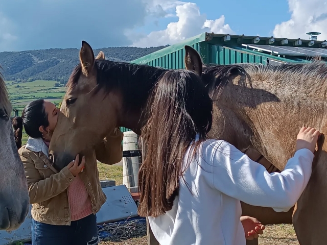  Prendersi cura dei cavalli