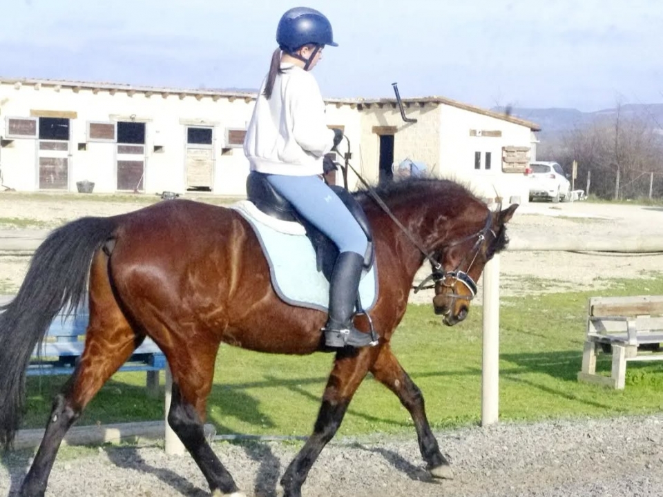  Lezione di equitazione 