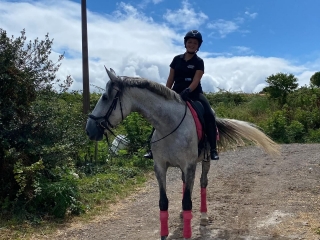 Paseo a caballo 2 horas + clase en Medina de Pomar