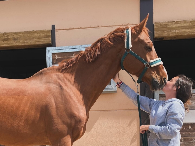  Itinerario a cavallo attraverso Burgos 