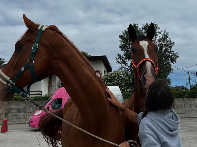  Taking care of the horses 