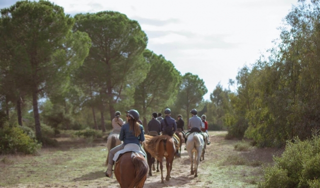 Amigos trotando en ruta