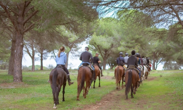 Descubriendo Cadiz a caballo