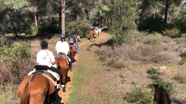 En ruta
