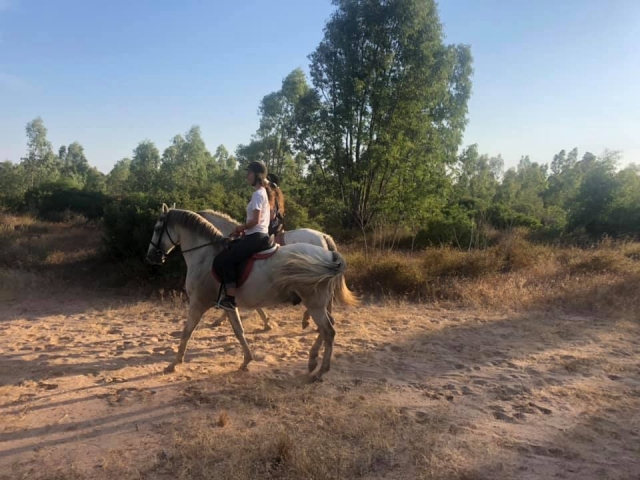 Paseando a caballo