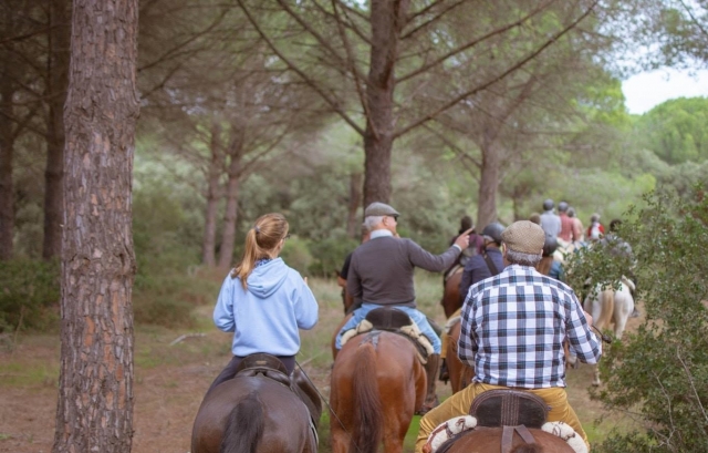 Paseo con amigos en caballo