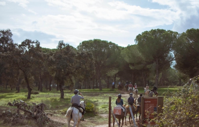 Saliendo de la finca a caballo
