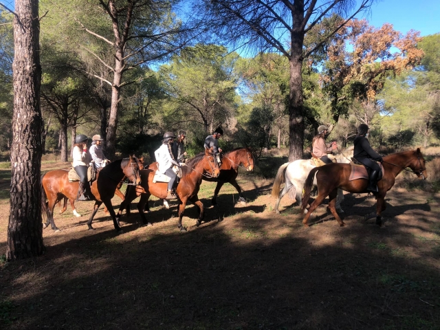Todos a caballo
