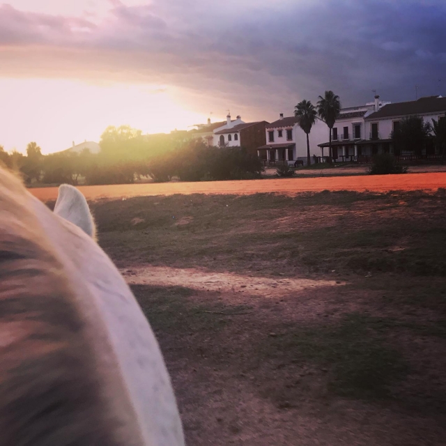 Precioso atardecer desde el lateral de un caballo