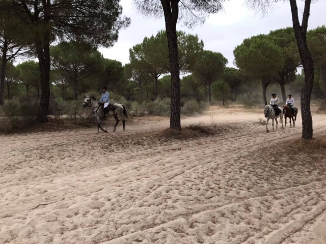 La llanura conlleva tranquilidad en el paseo