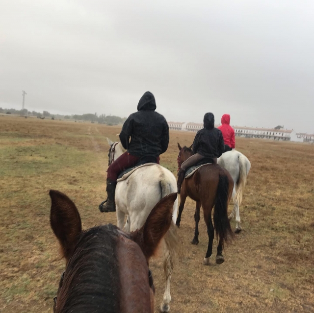 A quiet route around Doñana 