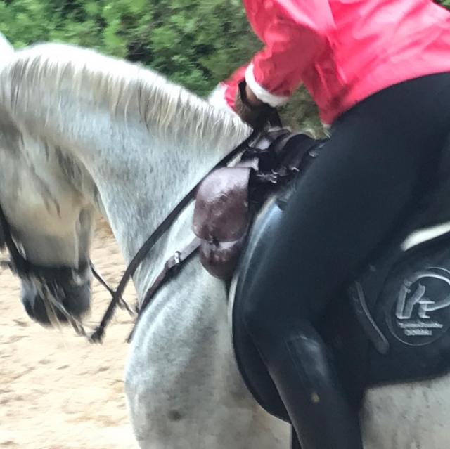 Climbing on the back of a horse 