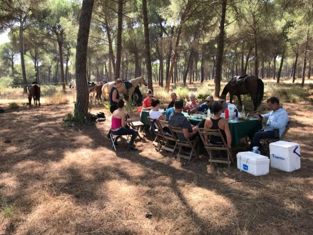 Reunidos de picnic