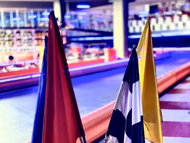  The flags 
