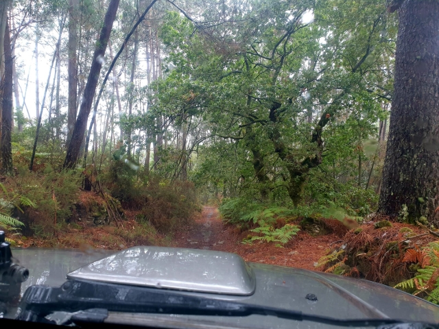 Vistas desde el propio 4x4