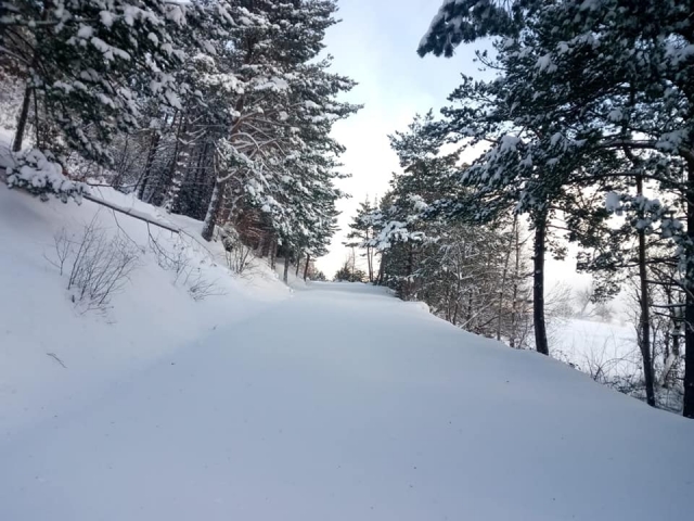 雪谷 