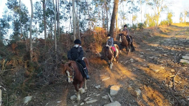 En las profundidades del bosque con los pequeños