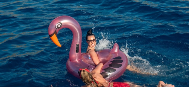  You can bring any float to jump into the water, even a pink bird 