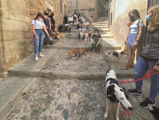  有时我们会举办带宠物的导游之旅