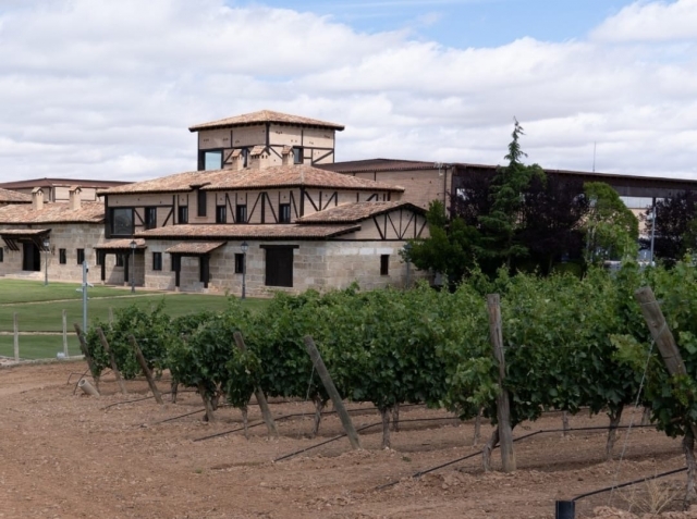  Notre cave et nos vignes 