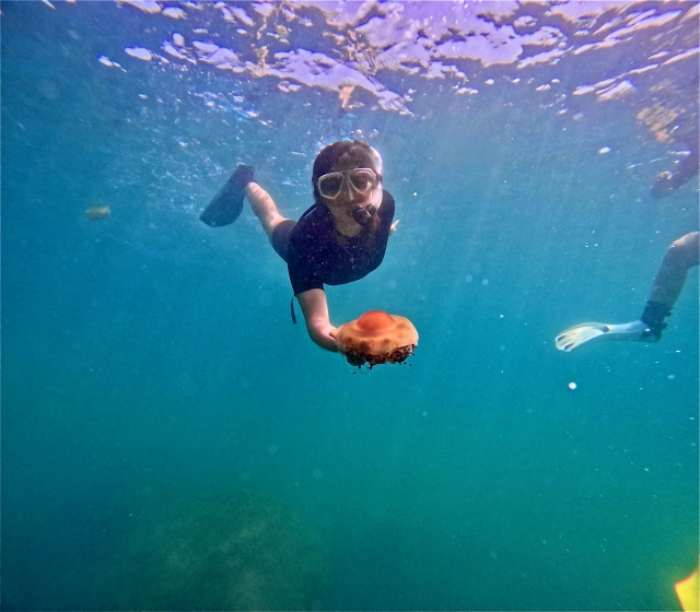  Snorkeling in Sant Adrià de Besòs 