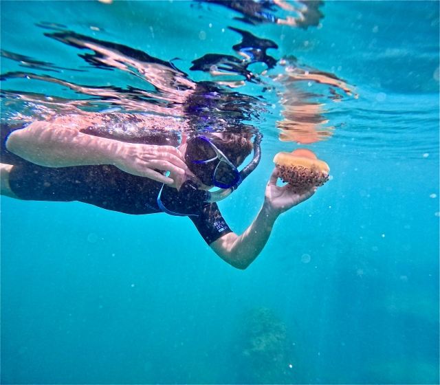  Enjoy a snorkeling experience in Barcelona 