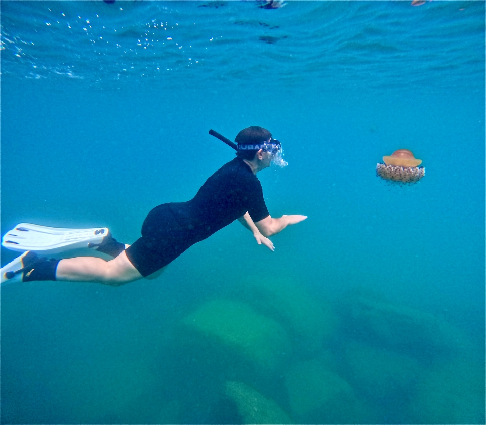  Explore the coast of Barcelona by snorkeling 