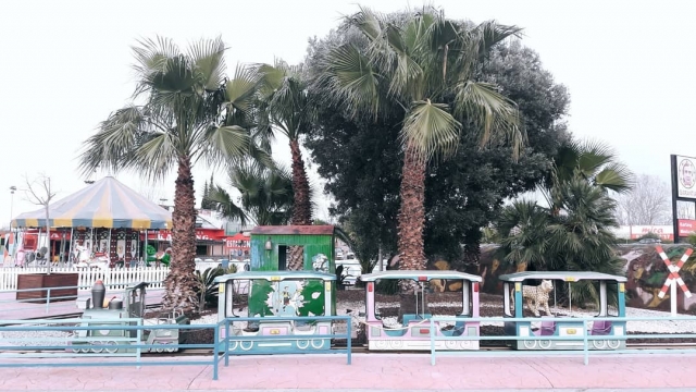  Le petit train qui trace son itinéraire dans le périmètre du circuit 