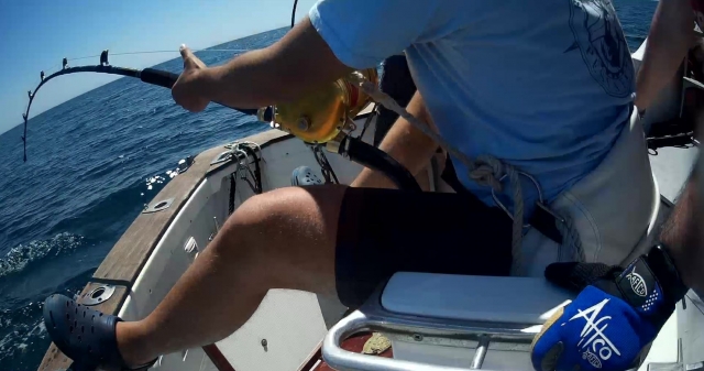 Auf diesem Foto können Sie den Druck sehen, den die Fische auf die Rute ausüben 