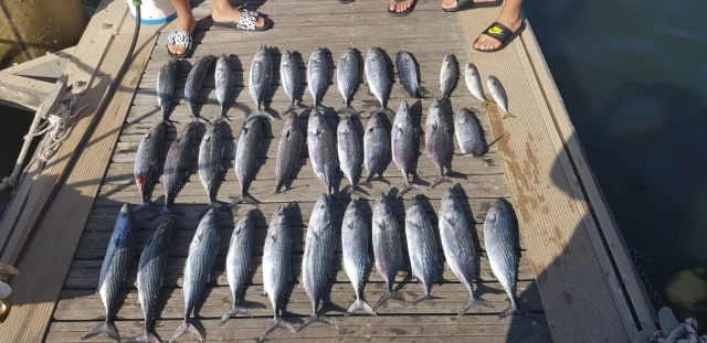  Pesca em Huelva 